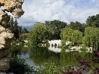 Rzeka, Park, Most