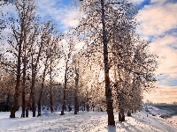 Park, Wschód, Słońca, Rzeka