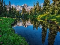 Stan Waszyngton, Odbicie, Rzeka, Park Narodowy Mount Rainier, Drzewa, Stany Zjednoczone, Jezioro Las, Góry