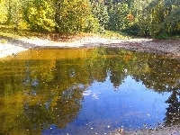 Staw, Park, Odbicie