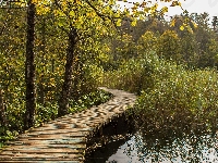 Park Narodowy Jezior Plitwickich, Pomost, Drzewa, Szuwary, Chorwacja, Jezioro