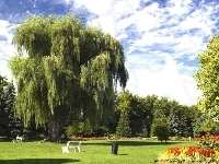 Toronto, Park, Kanada