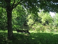 Woda, Park, Ławeczka