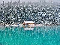 Jezioro, Dom, Zima, Drzewa, Louise Lake, Alberta, Kanada, Las, Park Narodowy Banff