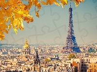 Paryż, Jesień, Wieża, Eiffla, Panorama