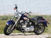 Pas, Harley Davidson Softail, Napędowy