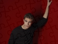 Paul Wesley, Stefan Salvatore