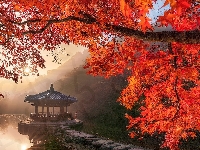 Promienie słońca, Jesień, Nara Park, Nara, Klon, Sagiike, Pawilon Ukimido, Altana, Staw, Gałęzie, Japonia