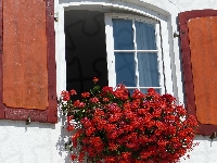 Okno, Pelargonie, Kwiaty, Okiennice, Drewniane