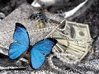 Perły, Niebieski, Motylek, Pieniądze
