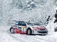 Rajdowy, Peugeot 206