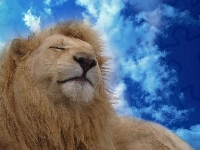 Lew, Śpiący, Chmury