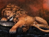 Lew, Śpiący, Grafika