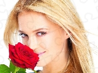 Blondynka, Piękna, Róża