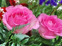Różowe, Piękne, Róże