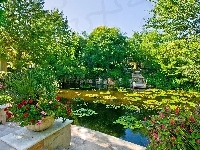 Ogród, Piękny, Staw