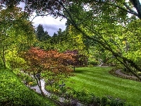 Piękny, Park