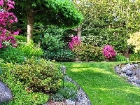 Park, Piękny, Krzewy
