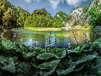 Dunajec, Góry, Polska, Pieniny, Roślinność, Rzeka