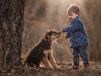 Drzewo, Pies, Chłopczyk, Terrier, Młody