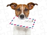 Znaczek, Pies, List, Jack Russell Terrier