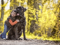 Bullmastiff, Dziewczynka, Dziecko, Pies, Alejka, Pręgowany