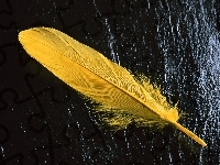 Piórko