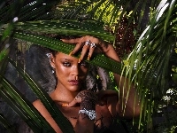 Piosenkarka, Robyn Rihanna Fenty, Palmy