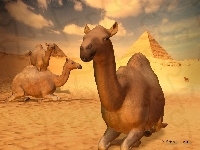 Piramidy, Wielbłądy, Pustynia, 3D