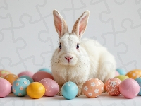 Kolorowe, Biały, Królik, Pisanki