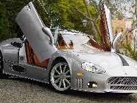 Plac, Spyker C8 Aileron, Drzewa