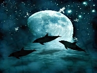 Planeta, Trzy, Delfiny, Fantasy