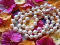 Kolorowe, Płatki, Kwiaty, Perły, Korale