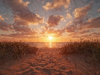 Trawa, Plaża, Chmury, Niebo, Niebo, Zachód Słońca, Plaża