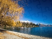 Drzewa, Plaża, Nowa Zelandia, Jezioro, Góry, Wakatipu