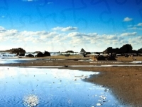 Plaża, Morze