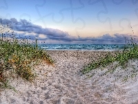 Plaża, Chmury, Morze, Trawa