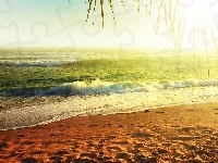 Plaża, Słońca, Palm, Zachód, Morze, Liście