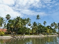 Palmy, Plaża, Domy