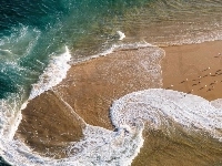 Plaża, Morze, Ptaki, Francja