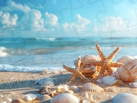 Muszle, Plaża, Rozgwiazdy, Grafika, Morze