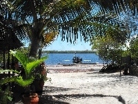 Plaża, Drzewa, Palma, Rzeka, Łodzie