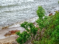 Woda, Plaża, HDR, Wybrzeże, Morze, Fale, Rośliny