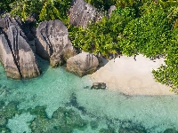 Plaża, Roślinność, Głazy, Seszele, Wyspa La Digue, Skały, Wyspa, Morze