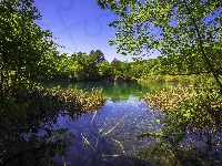 Krzewy, Niebo, Drzewa, Park Narodowy Jezior Plitwickich, Jezioro, Trawa, Chorwacja, Zieleń