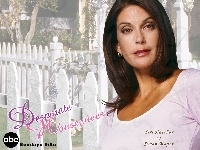 płot, Desperate Housewives, Teri Hatcher, napis