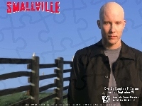 płot, Tajemnice Smallville, Michael Rosenbaum, łysy