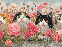 Róże, Cztery, Koty, Płot