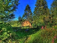 Ławka, Zieleń, Drzewa, Płot, Zakątek