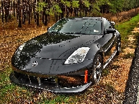 Pobocze, Las, Nissan350Z